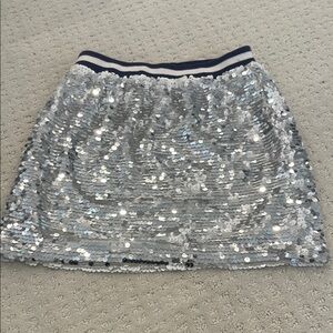 Silver Sequin Skirt